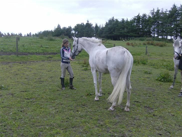 Anden særlig race siox - siox og helle mmm   mad billede 19