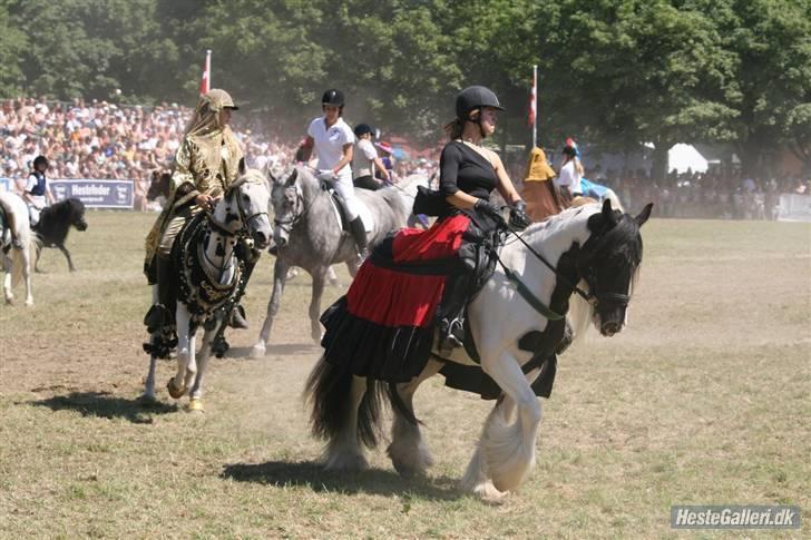 Tinker Følfods Shaine billede 19