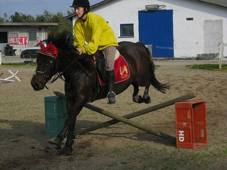 Anden særlig race Charmer - Så tager vi da lige et spring :) noget Charmer elsker :D  billede 2