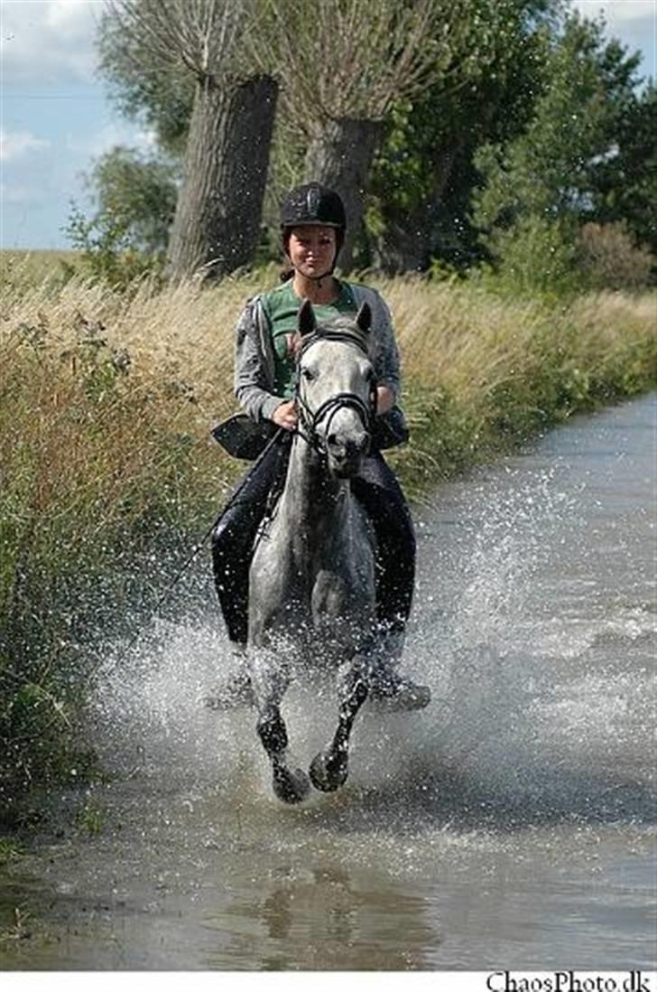 Anden særlig race Rositta. Solgt 2008, aflivet 2011 :-( - rositta og emilie (´: billede 1