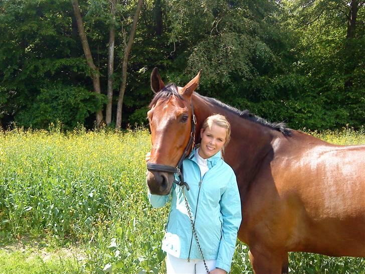 Dansk Varmblod Gørklindtgårds Flash [Tidliger hest] - på ridelejer:) billede 2