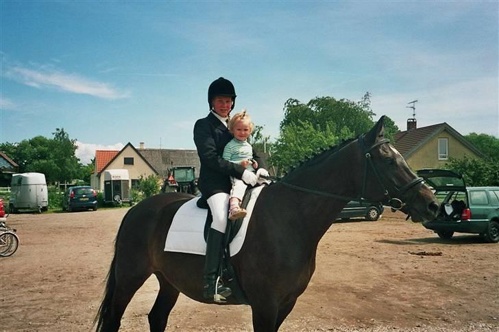 Trakehner Åkildens Verona *RIP - Min smukke Niece elsker Verona billede 3