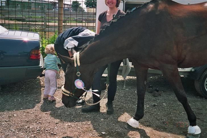 Trakehner Åkildens Verona *RIP - Har i mere og spise?? billede 4