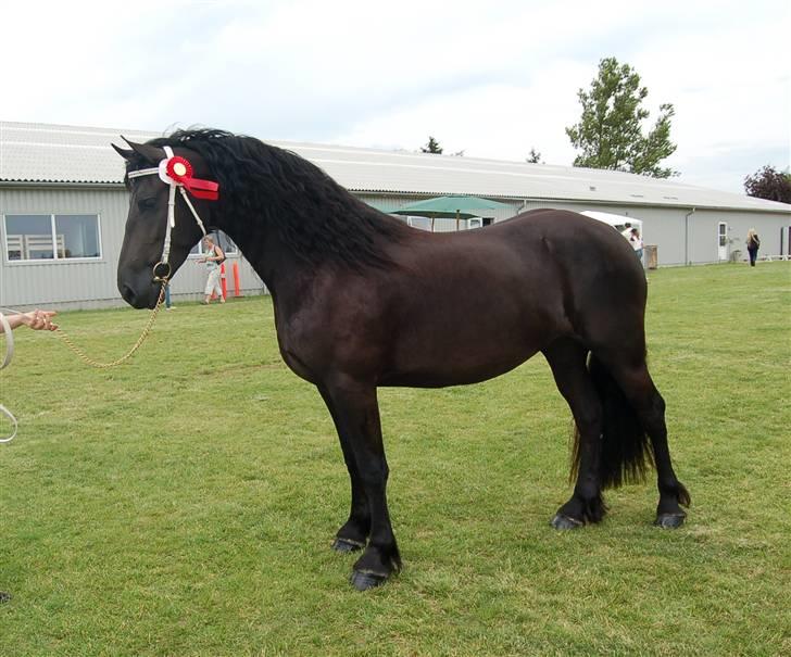 Frieser Maike Rozalien J. - Kåring 2007 billede 13