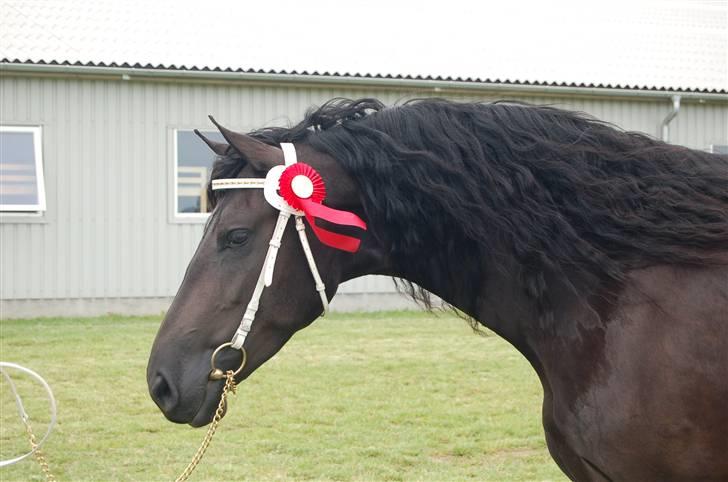 Frieser Maike Rozalien J. - Kåring 2007 billede 14