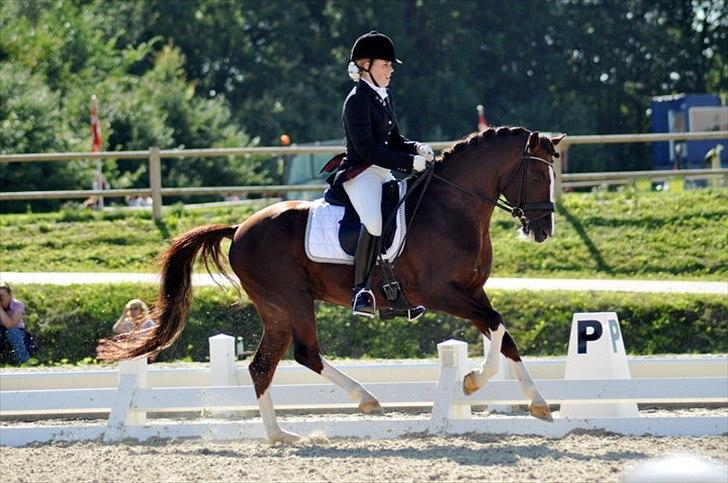 DSP Vasehøjs Kashi *A-Pony* - DM Finale 2010 billede 12
