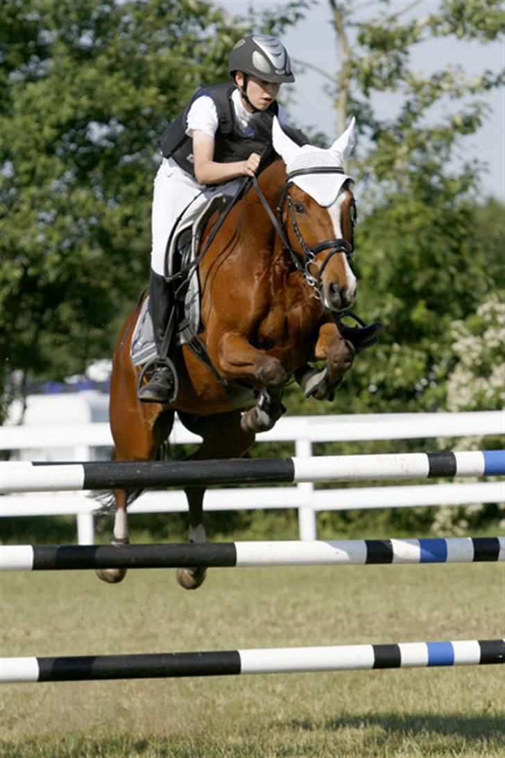 New Forest Orchid`s Jasper  - Her ses vi til Landsstævne i Silkeborg sportsrideklub...... i en MA billede 1