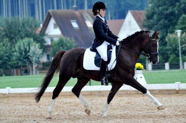 DSP Vasehøjs Kashi *A-Pony* - Int. Tyskland billede 14