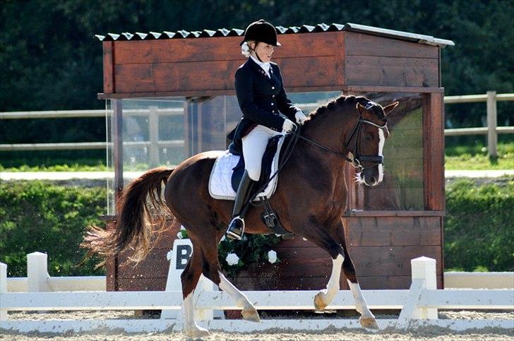 DSP Vasehøjs Kashi *A-Pony* - DM 2010 billede 16