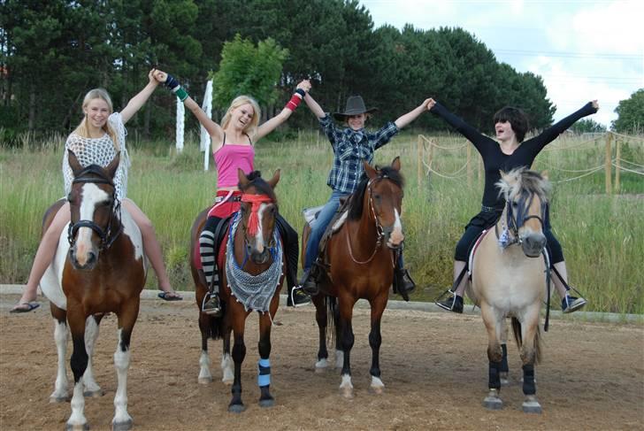 Fjordhest Bjarke Sax - på ridelejr xD foto Mikel Urup billede 15