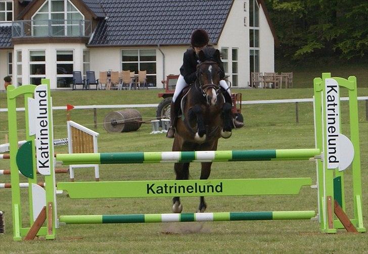 New Forest Margo  - morsø ´10..<3! fotograf: Sofie Eggert billede 6