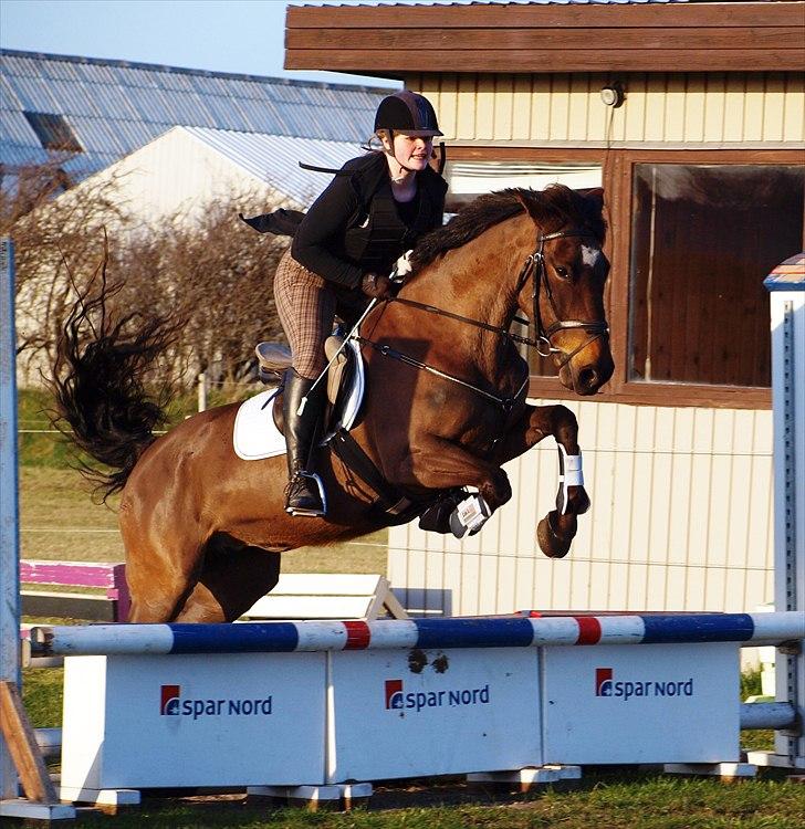 Anden særlig race Lady - 4. Marts spring billede 4