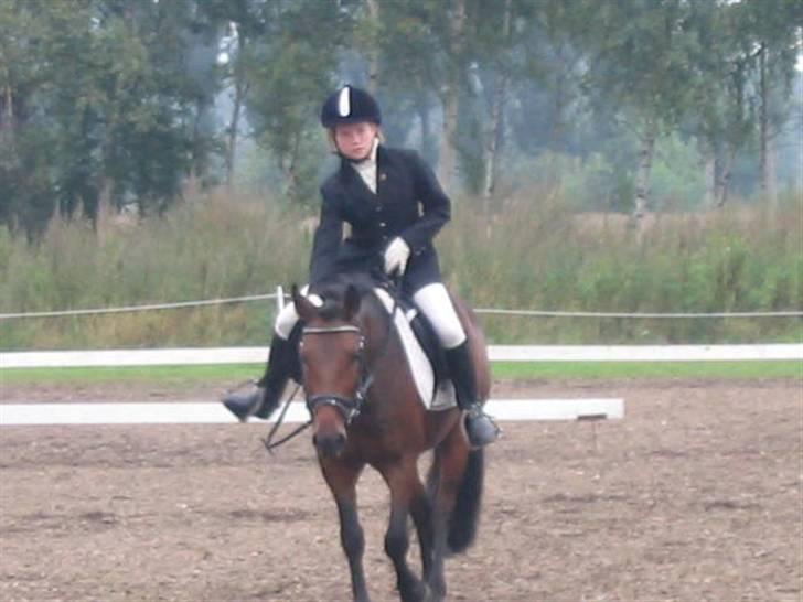 Anden særlig race Monzur <333 - Stævne på Bogø, rider en LC2  billede 20