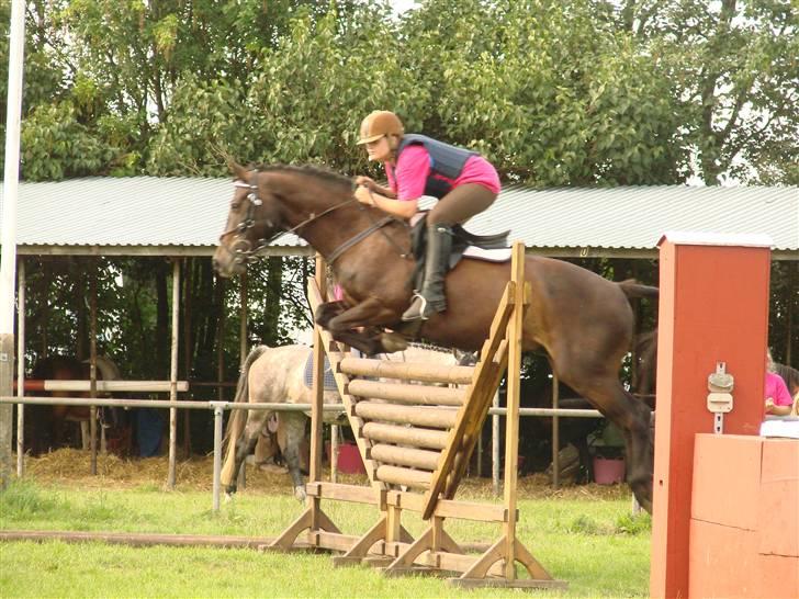 DSP Batman (R.I.P) - SA i NVR - Ridelejr 2007 . Fotograf: AM - Annika Mørum billede 13