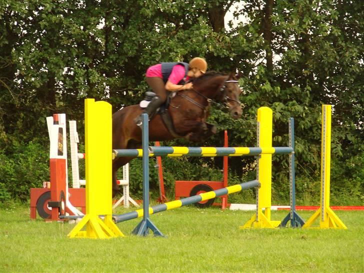 DSP Batman (R.I.P) - Okser i NVR - SA på ridelejr :) Fotograf: AM - Annika Mørum billede 15