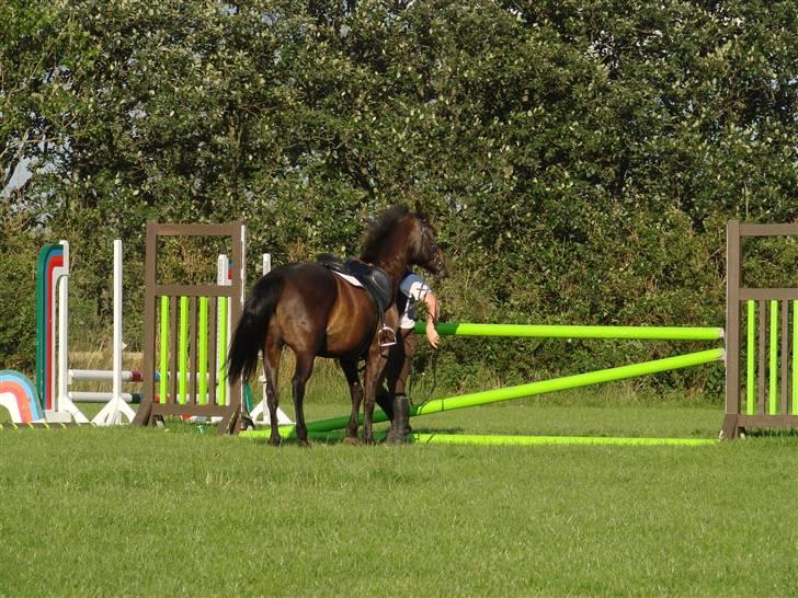 DSP Batman (R.I.P) - Det var vist noget med en skygge han fik øje på. landte på benene, kom ikke til skade, hehe xD grineren billede. Fotograf: AM - Annika Mørum billede 17