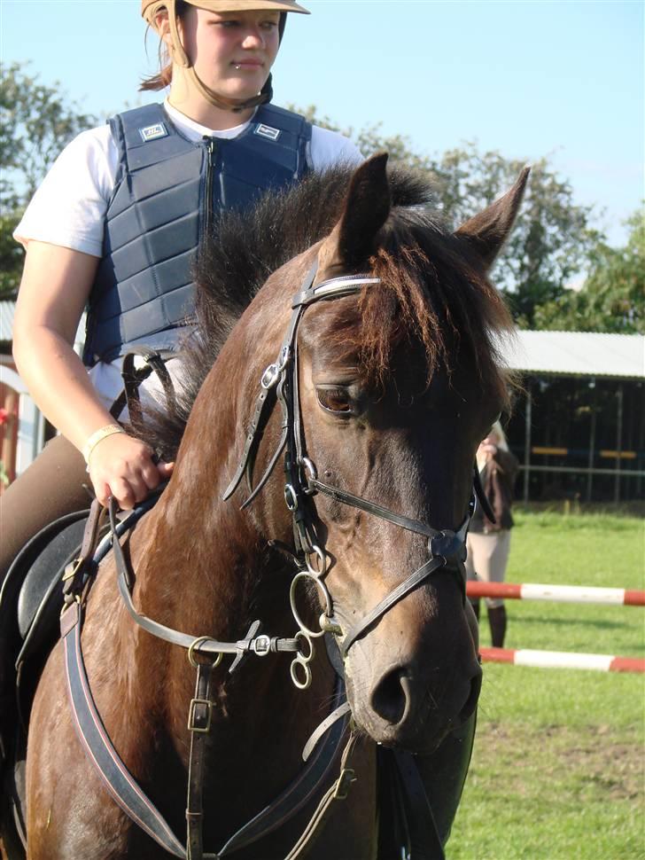 DSP Batman (R.I.P) - Mig og Batman, har selv redet dig op, se hvor langt vi er nået! jeg elsker dig forevigt, MIN pony, vi har virkelig hjulpet hinanden til tops. Men vi kan meget mere. du altid glad :´) Kan ses på dine øre! Fotograf: AM - Annika Mørum billede 20