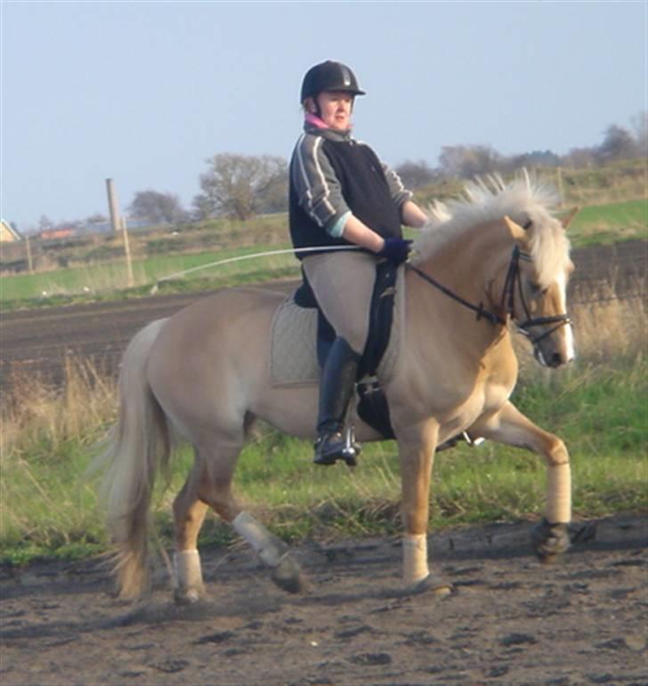 Anden særlig race Duchesse II billede 2