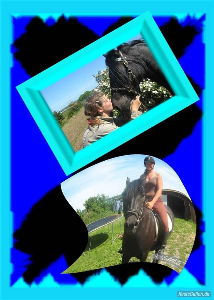 Anden særlig race Yasmin $ilke*solgt - 16: dig og mig<33:) billede 16