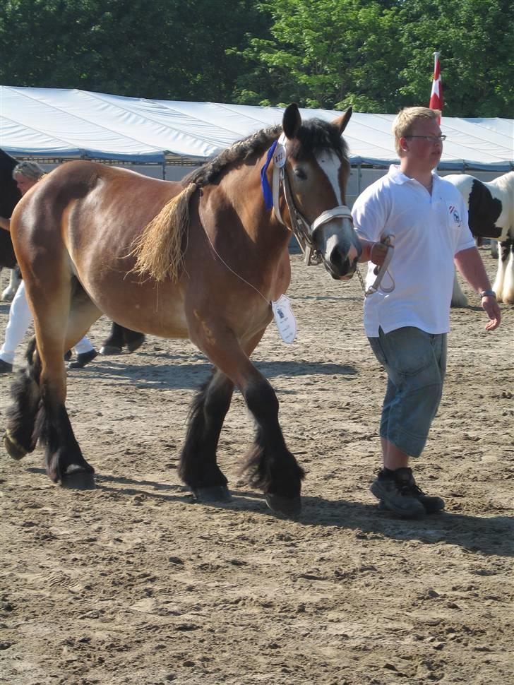 Belgier Toftegaards Frida billede 13