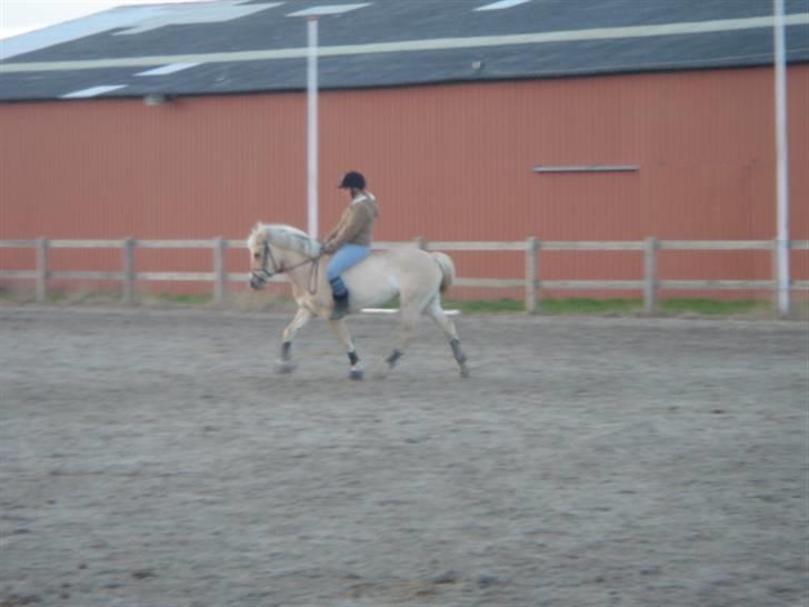 Anden særlig race Duchesse II billede 20
