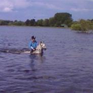 Anden særlig race Rositta. Solgt 2008, aflivet 2011 :-(