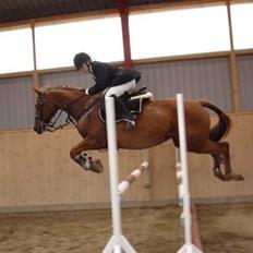 Anden særlig race Engkildegårds chili