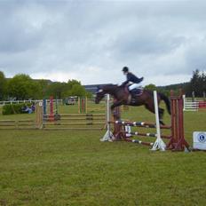 Fuldblod (XX) Killroy