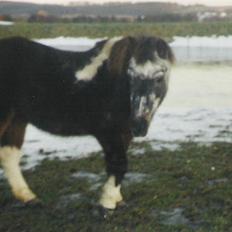 Anden særlig race LUNA <3 R.I.P.