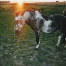 Anden særlig race LUNA <3 R.I.P.