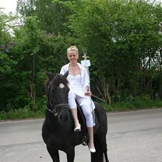 Anden særlig race Felicity solgt ;(