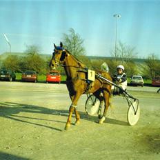 Traver Tonka Brogård (R.I.P)