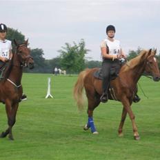 Traver Tonka Brogård (R.I.P)