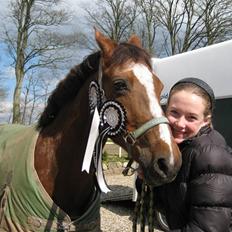 Tysk Sportspony Faria *10/11-08 R.I.P *