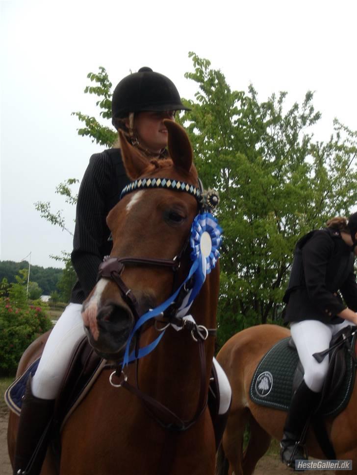 Hollandsk Sportspony Zorro <3 (solgt) - Sara og Zorro andenplads i La <3 (fotot:mig) billede 13