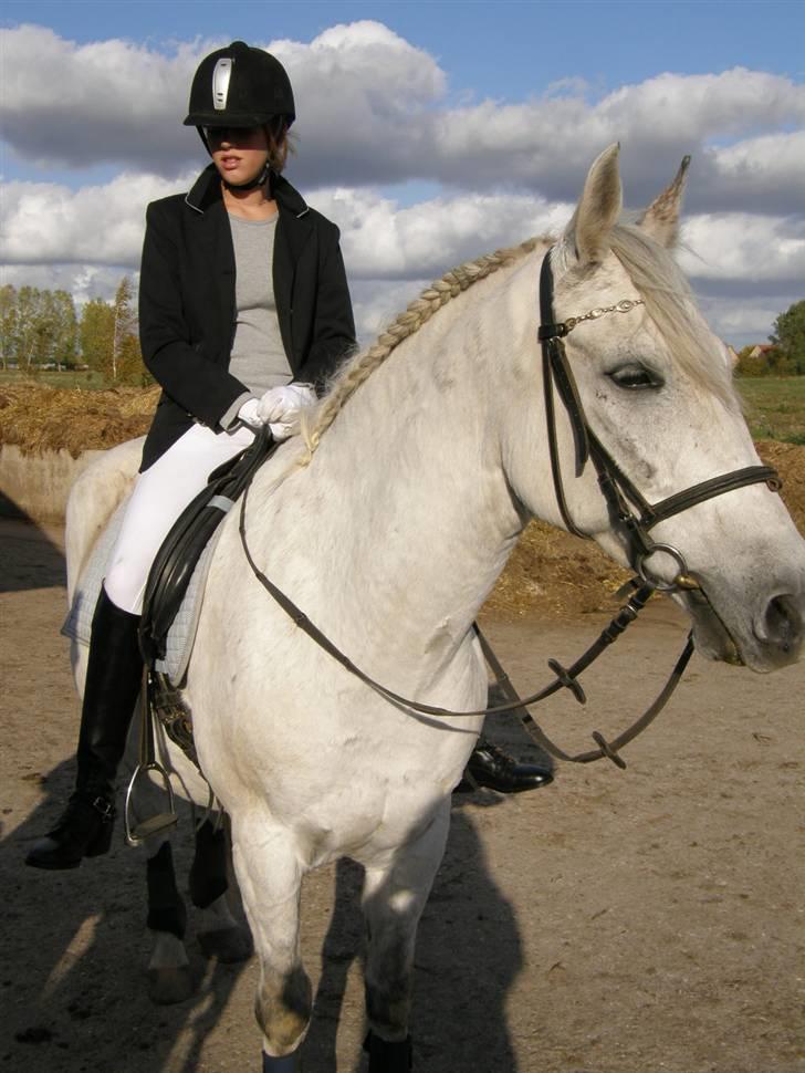 Anden særlig race Super Star / VSR / part - Stævne (Foto:Far Tak<3) billede 11