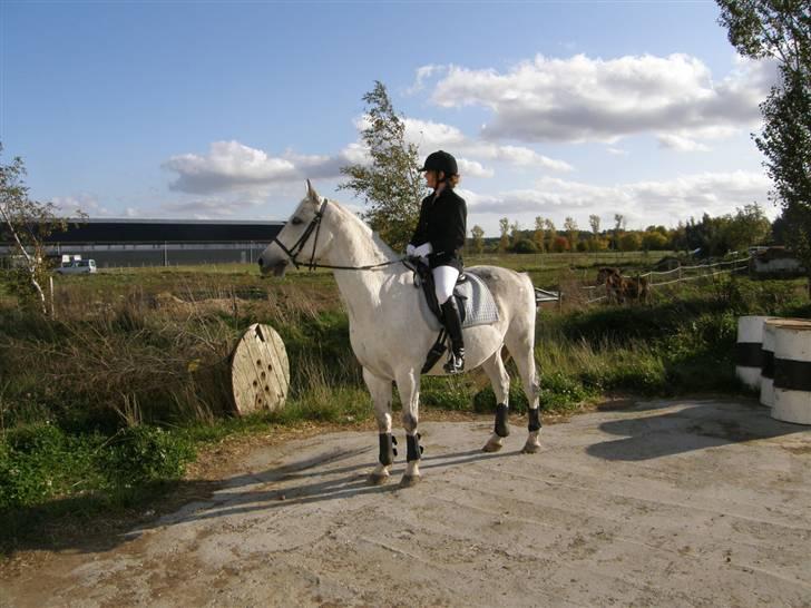 Anden særlig race Super Star / VSR / part - Stævne(Foto: Far Tak<3) billede 12