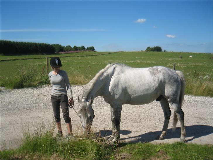 Anden særlig race Super Star / VSR / part - (Foto: Far Tak<3) billede 14