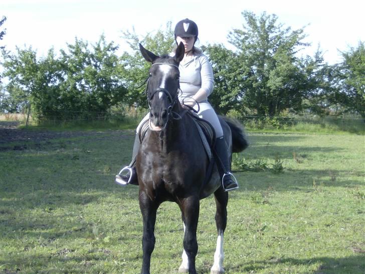 Oldenborg Lidiane  - Første gang jeg red på hende hjemme hos mine forældre  billede 6