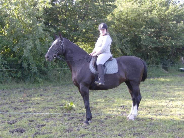 Oldenborg Lidiane  - Første gang jeg red på hende hjemme hos mine forældre billede 7