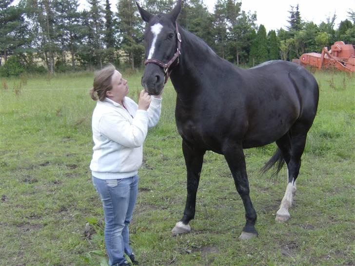 Oldenborg Lidiane  - Igen lidi og mig  billede 12