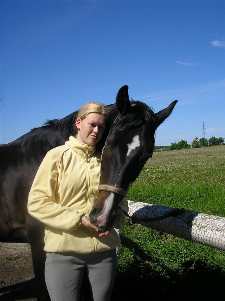 Holstener Cavallier - Jeg holder ufattelig meget af dig, Calle drengen <3 billede 4