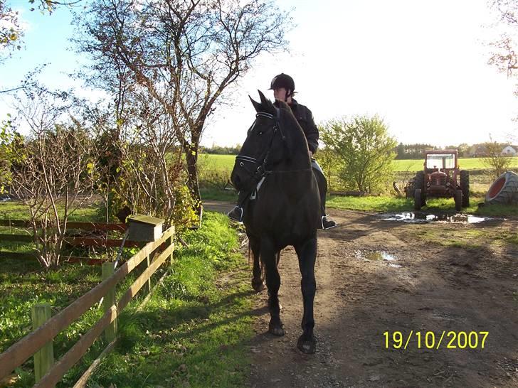 Oldenborg Diosa af stensbjerg - Skulle lige kigge, synes der var noget!!!  billede 11