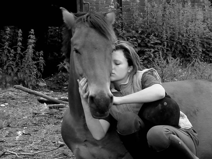 Anden særlig race Cativo - jeg elsker kun dig.  billede 11