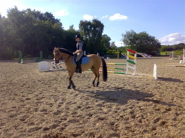 Anden særlig race Madonna :) R.I.P <3  - efter spring ;).... - taget af Sif Tetens xD billede 10