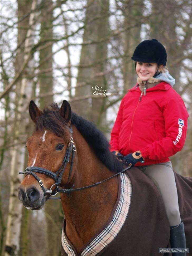 New Forest Roløkke Sirius *RIP* - Heeh ;´) billede 12