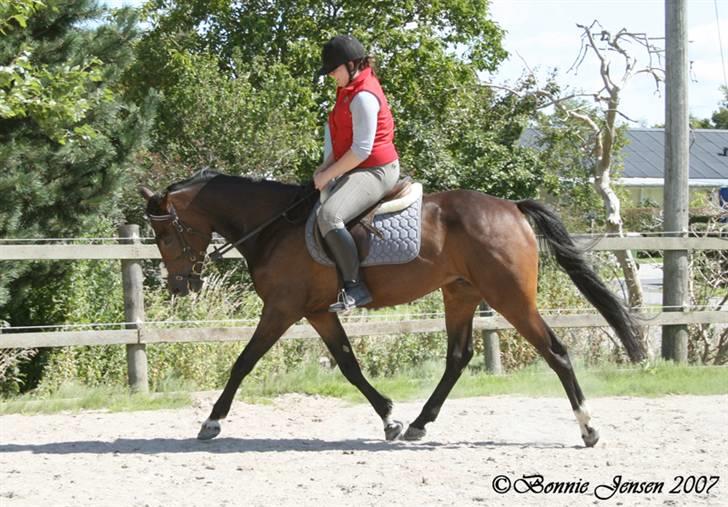 Traver Kubius - R.I.P - Fotograf: Bonnie jensen billede 11