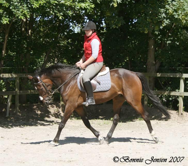 Traver Kubius - R.I.P - Fotograf: Bonnie jensen billede 12