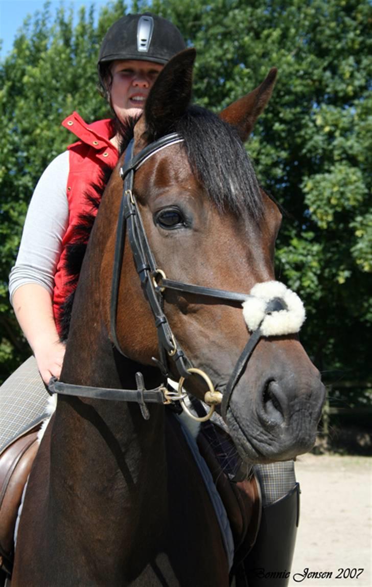 Traver Kubius - R.I.P - Fotograf: Bonnie jensen billede 15