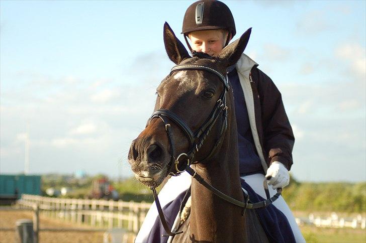 Trakehner Donaufee VI E - Hygge på HDR efter vi har været inde på banen - venter på at se Gitte og Line få deres rosetter billede 14